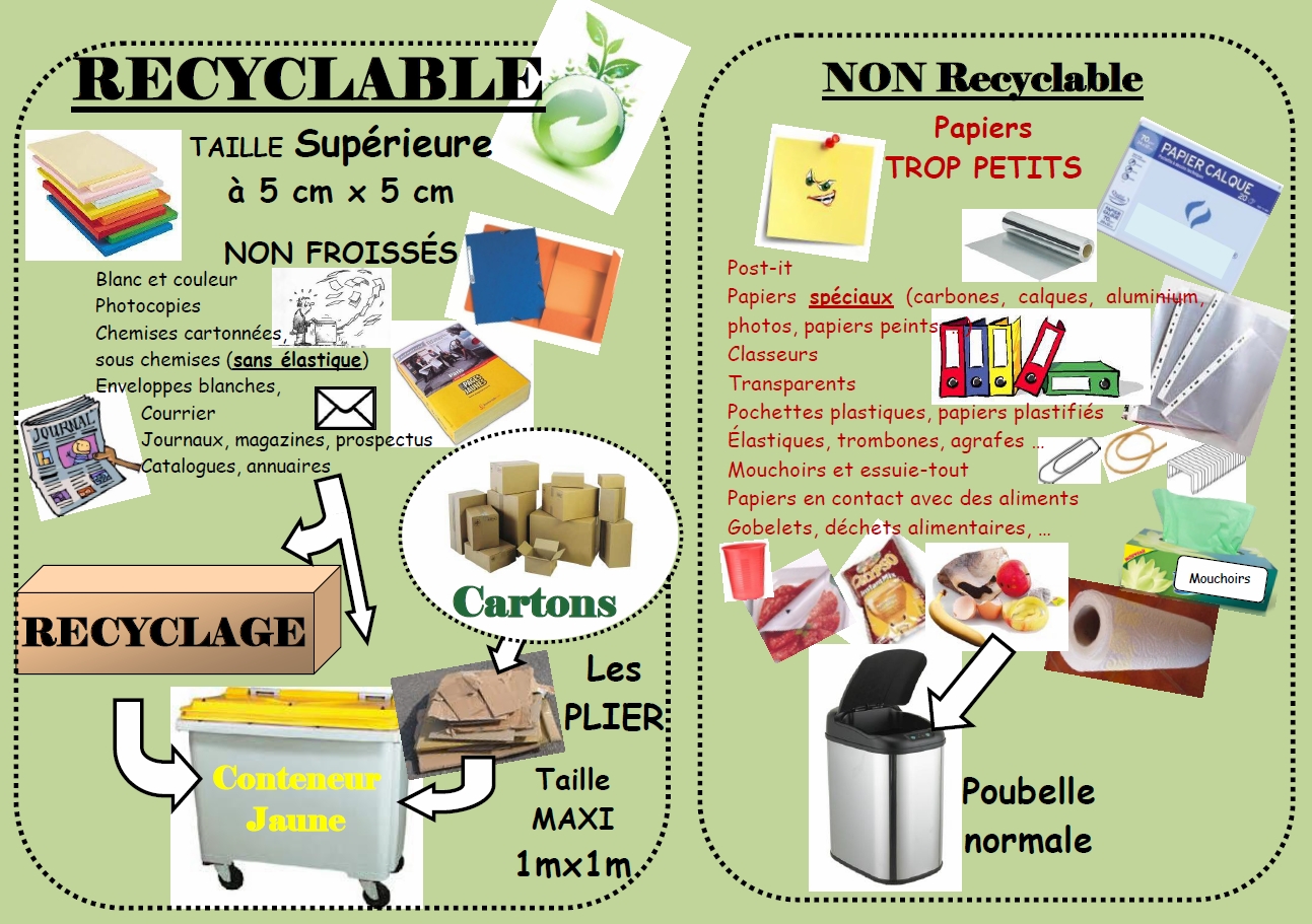 Recyclage du papier en entreprise : le guide pratique